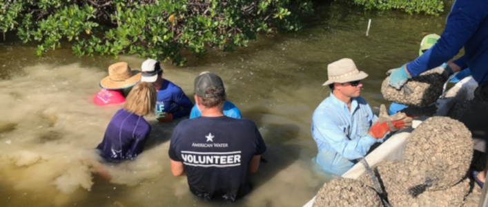 American Water employees volunteering their time to improve the ecosystem in Tampa Bay by creating oyster beds.